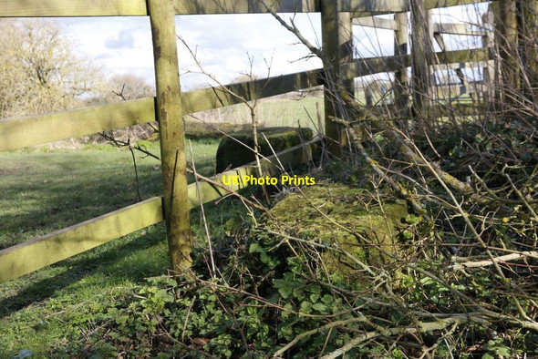 Photo 6"x4" More moss covered stones Mortimer West End c2014