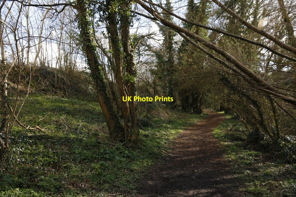 Photo 6"x4" Path by the Wall Mortimer West End c2014
