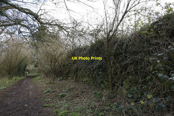 Photo 6"x4" Back along the Wall Mortimer West End c2014