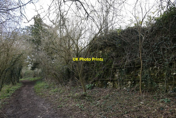 Photo 6"x4" Section of Wall Mortimer West End c2014