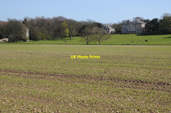 Photo 6"x4" Came House Dorchester\/SY6890 c2014