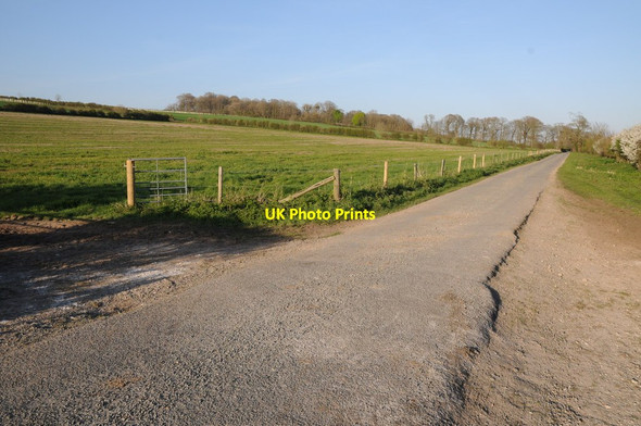 Photo 6"x4" Road near Winterborne Herringston Dorchester\/SY6890 c2014