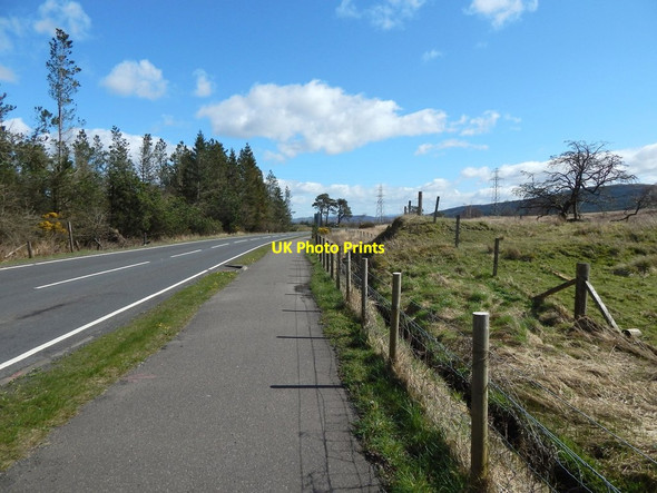 Photo 6"x4" Luss Road Helensburgh c2014