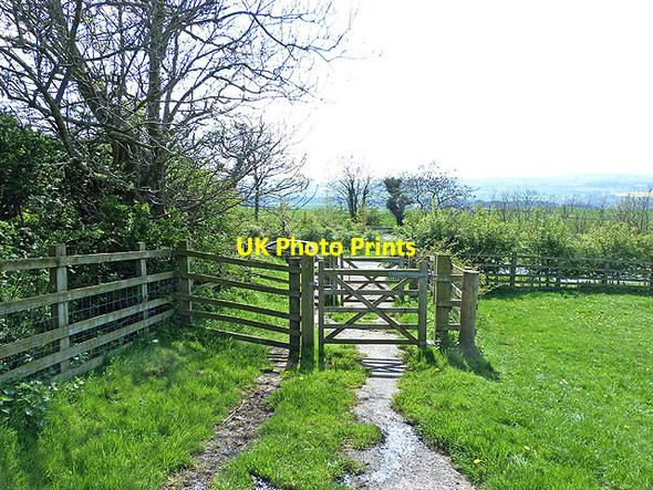 Photo 6"x4" Crossing point on the A66 East Layton c2014