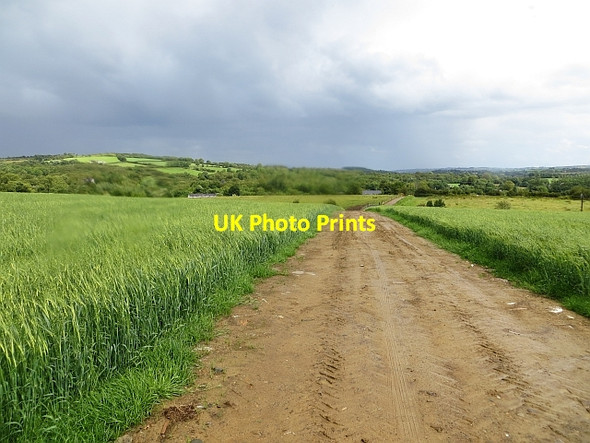 Photo 6"x4" Farm track, Drumman Rathmelton c2013
