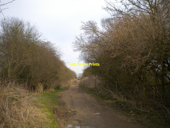 Photo 6"x4" Path around Rutland Water north of Manton Gunthorpe\/SK8605 c2014