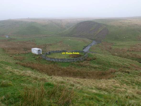 Photo 6"x4" Sheepfold beside the Ridlees Burn Rookling Law c2014