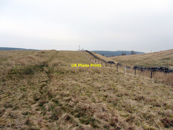 Photo 6"x4" Pennine Way west of Ladyhill Stonehaugh c2014