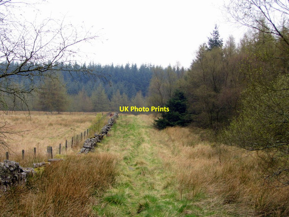 Photo 6"x4" Pennine Way near Ladyhill Stonehaugh c2014