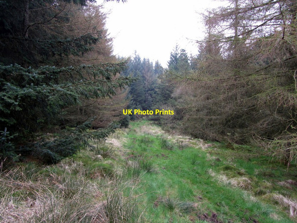 Photo 6"x4" Pennine Way near Gofton Burn Stonehaugh c2014