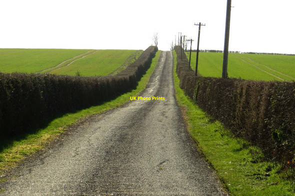 Photo 6"x4" The road to Purwell Farm Worton\/SP4611 c2014