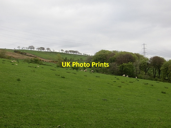Photo 6"x4" Fields, Balcastle Kilsyth c2014