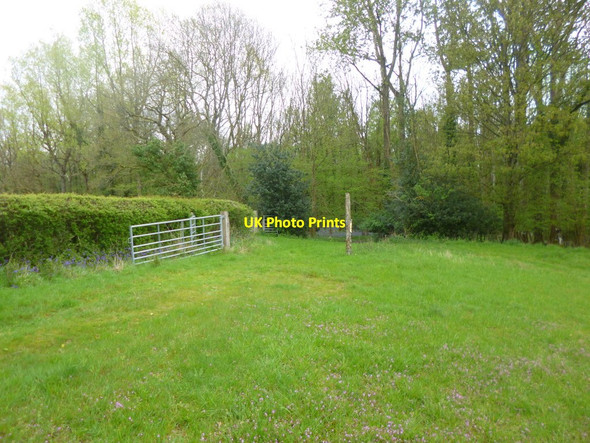 Photo 6"x4" Hamptworth, footpath junction Hamptworth c2014