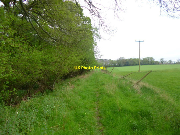 Photo 6"x4" Hamptworth, footpath Hamptworth c2014