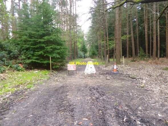 Photo 6"x4" Hamptworth, barrier Hamptworth c2014