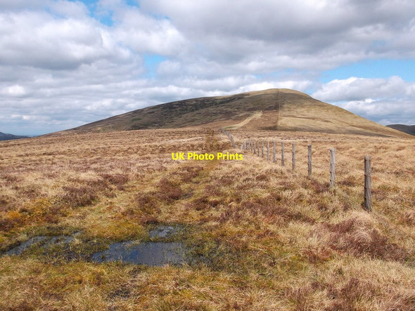 Photo 6"x4" Moss Law Moss Law\/NT0527 c2014