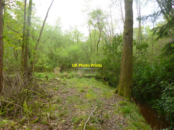 Photo 6"x4" Hamptworth, road bridge Bohemia\/SU2019 c2014