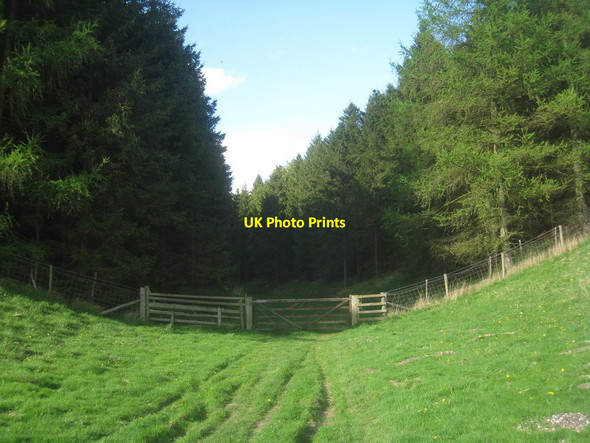 Photo 6"x4" Approaching gloom Painsthorpe c2014