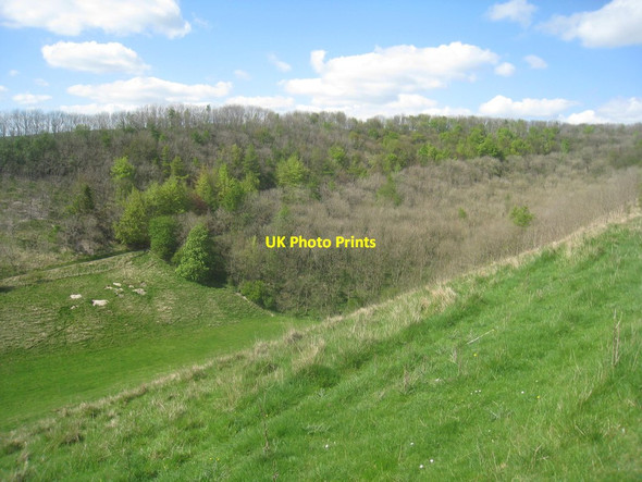Photo 6"x4" Above Worsen Dale Bishop Wilton c2014