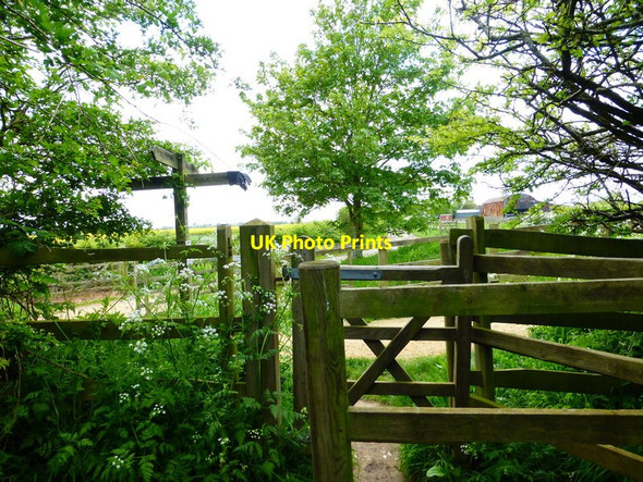 Photo 6"x4" Footpath crossing on Brook Lane Saxby\/SU9603 c2014