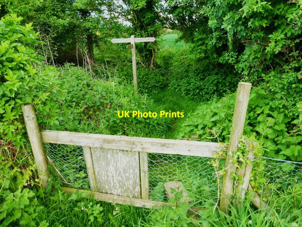 Photo 6"x4" Footpath junction north of Wicks Farm Ford\/SU9903 c2014