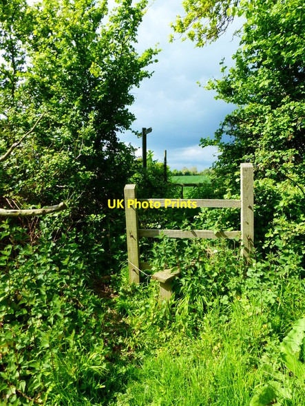Photo 6"x4" Stile between fields Ford\/SU9903 c2014