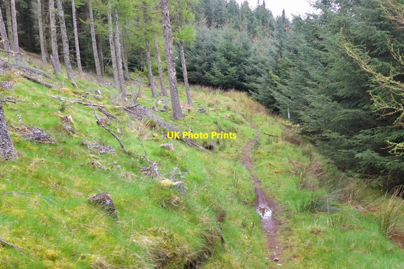 Photo 6"x4" Path, west side of Cademuir Forest summit Bellanrigg c2014