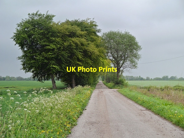 Photo 6"x4" Track across Irlam Moss Irlam c2014