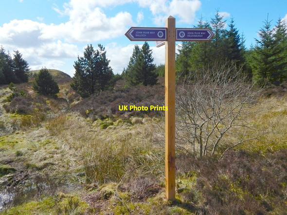 Photo 6"x4" Signpost on forestry track Arden\/NS3684 c2014