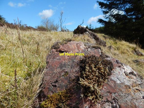 Photo 6"x4" Rocks beside path Arden\/NS3684 c2014