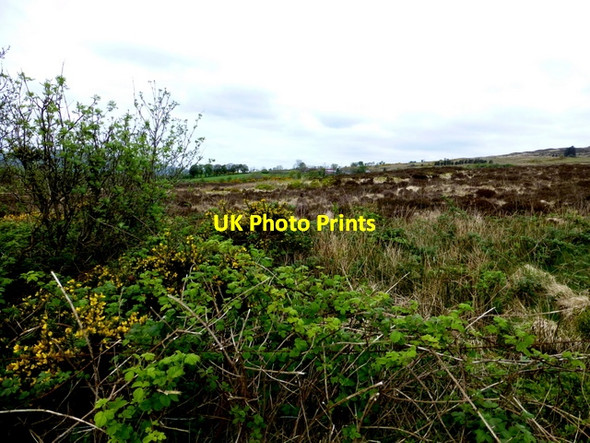 Photo 6"x4" Lisnaharney Townland Gortin c2014