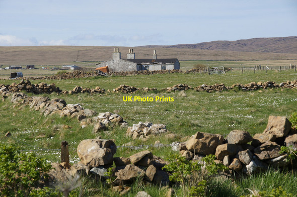 Photo 6"x4" Springpark from Halligarth, Baltasound Baltasound c2014