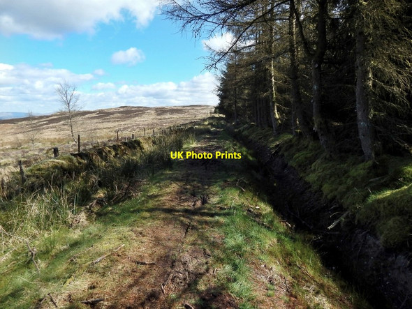 Photo 6"x4" Path to Darleith Muir Arden\/NS3684 c2014