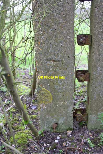 Photo 6"x4" Benchmark on concrete post in hedge Chalgrove c2014