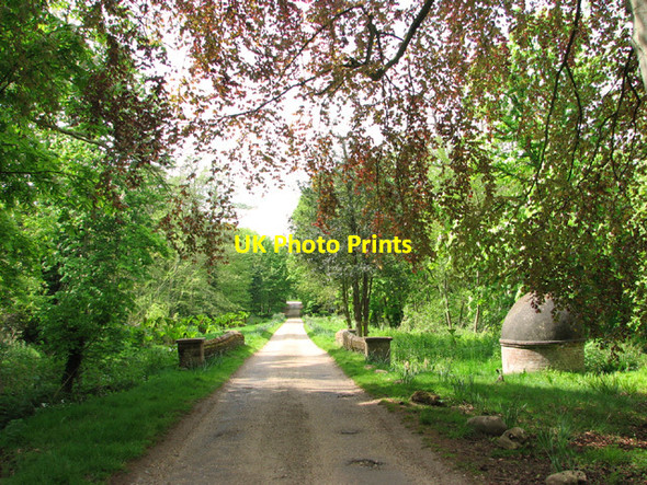 Photo 6"x4" Driveway to Bayfield Hall and Wild Flower Centre Glandford c2014