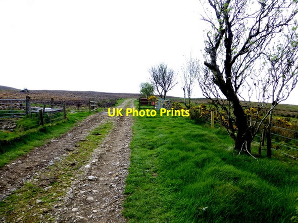 Photo 6"x4" Onwards and upwards, Dunbunrawer Gortin c2014