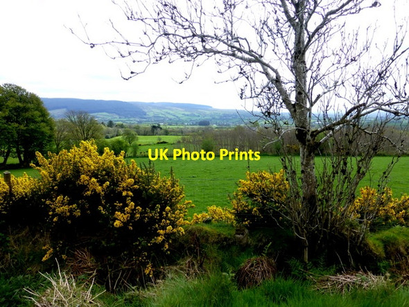 Photo 6"x4" Eskeradooey Townland Gortin c2014 P2