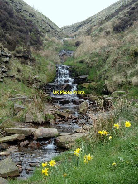Photo 6"x4" Nether North Grain in spring Lady Clough Moor c2014