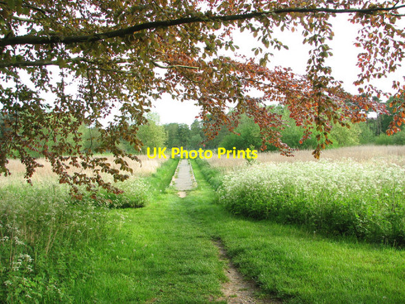 Photo 6"x4" Path by Taverham Mill Taverham c2014