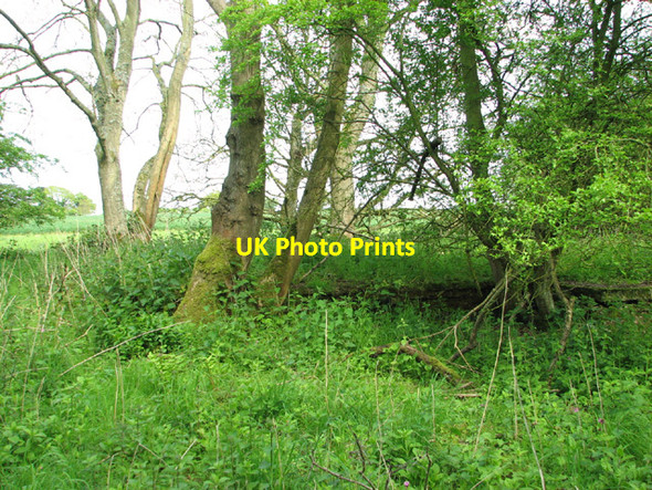 Photo 6"x4" RAF West Beckham radar station (B Site) Baconsthorpe c2014