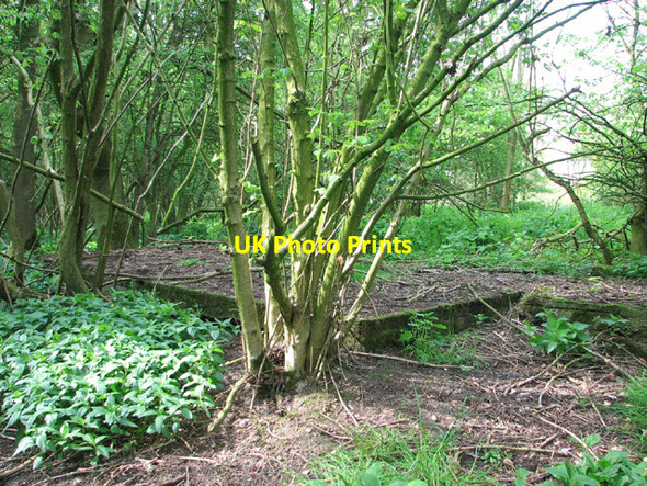 Photo 6"x4" RAF West Beckham radar station (B Site) Baconsthorpe c2014 P2