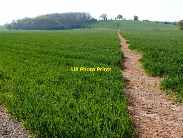 Photo 6"x4" Footpath to Ashton Wold Eaglethorpe c2014