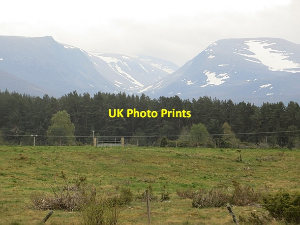 Photo 6"x4" Field, Guislich Coylumbridge c2014