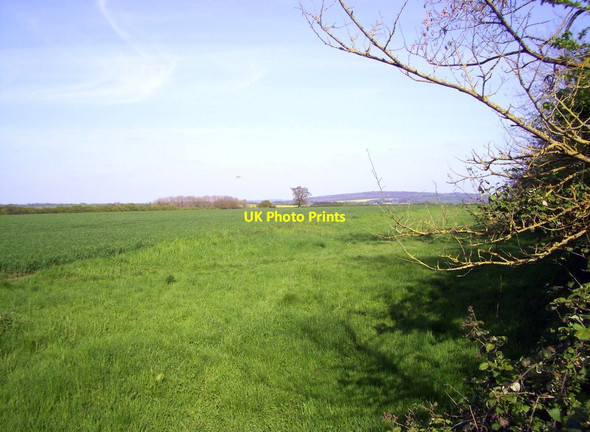 Photo 6"x4" The Warren Church End\/SP3908 c2014