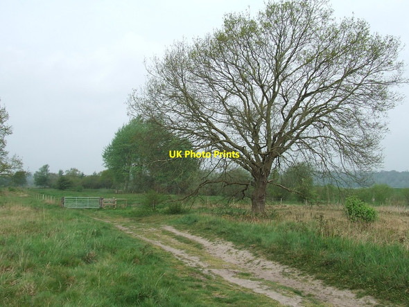 Photo 6"x4" Path And Gate Earsham c2014