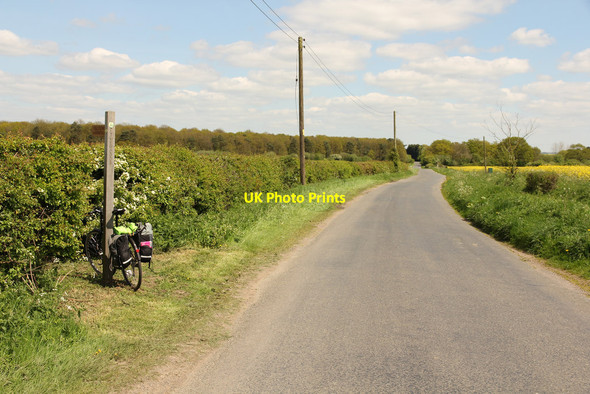 Photo 6"x4" Moor Lane Stixwould c2014