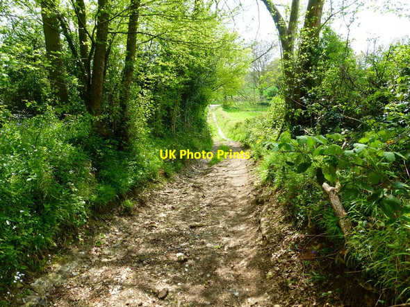 Photo 6"x4" Byway descends to Bagmore Lane Bagmore\/SU6644 c2014