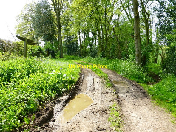 Photo 6"x4" Junction on byway near Hurst Farm Herriard c2014