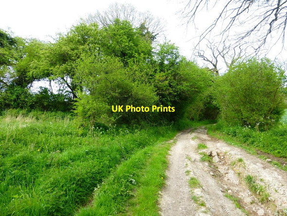 Photo 6"x4" Very rutted section of byway between fields Lower Common\/SU6344 c2014