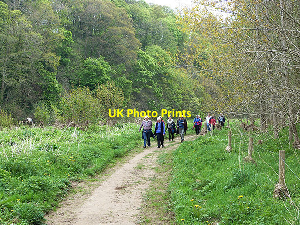 Photo 6"x4" Ramblers by the River Tweed Galashiels c2014